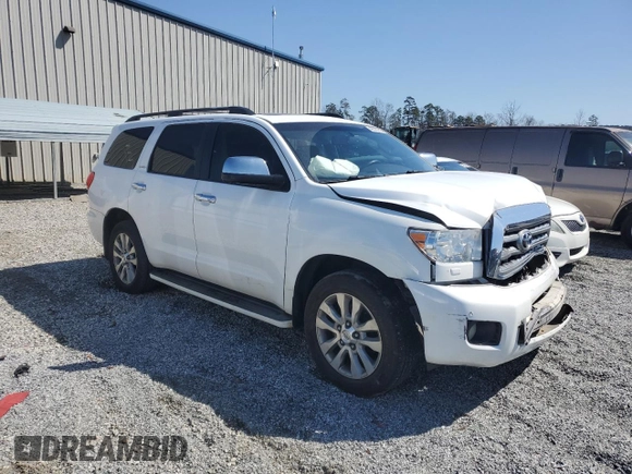 2010 Toyota Sequoia Ltd with VIN 5TDKY5G11AS028448, listed as a Copart auction lot 48693215 with 229,300 mi miles and Salvage Title. Bid and sale history available at carsss.com. Image 4.