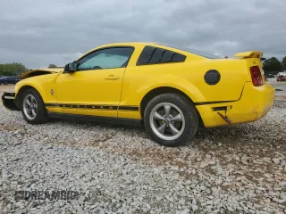 2006 Ford Mustang Standard with VIN 1ZVFT80N065127934, listed as a Copart auction lot 51987095 with Not Provided miles and Salvage Title. Bid and sale history available at carsss.com. Image 2.