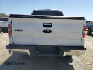 2010 Ford F-150 XL with VIN 1FTEW1C87AFD70646, listed as a Copart auction lot 53051625 with 162,396 mi miles and Salvage Title. Bid and sale history available at carsss.com. Image 6.