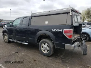2009 Ford F-150 STX with VIN 1FTRX14849FB10391, listed as a Copart auction lot 51786125 with 263,228 mi miles and Salvage Title. Bid and sale history available at carsss.com. Image 2.