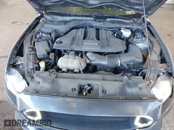 2019 Ford Mustang GT with VIN 1FA6P8CF3K5152306, listed as a IAAI auction lot 41923941 with 58,757 mi miles. Bid and sale history available at carsss.com. Image 10.