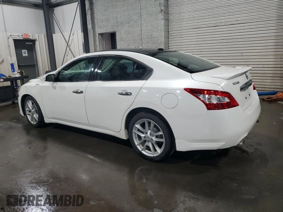 2010 Nissan Maxima SV with VIN 1N4AA5AP3AC861818, listed as a Copart auction lot 60893845 with 164,817 mi miles and Salvage title. Bid and sale history available at DreamBid. Image 2.