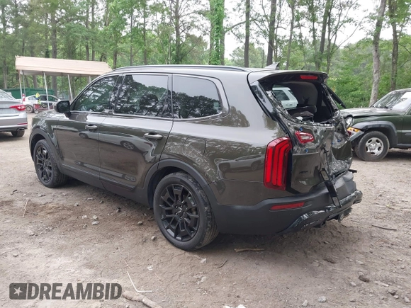 2022 Kia Telluride EX z VIN 5XYP3DHC6NG304172, wystawiony jako IAAI lot #42377593 z przebiegiem 46 013 mil mil oraz . Historia ofert i sprzedaży dostępna na DreamBid. Obrazek 3.