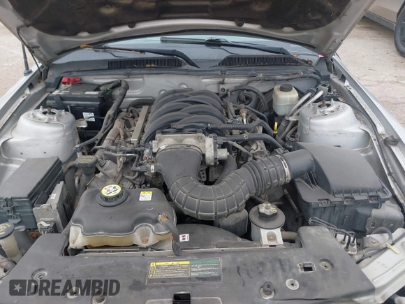 2008 Ford Mustang GT Deluxe with VIN 1ZVHT85H185173853, listed as a IAAI auction lot 42649826 with 176,484 mi miles and . Bid and sale history available at DreamBid. Image 10.