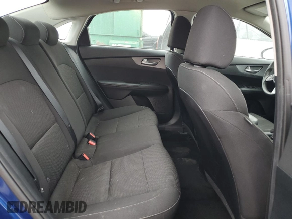 2019 Kia Forte LXS with VIN 3KPF24AD6KE049596, listed as a Copart auction lot 56276635 with 113,161 mi miles and Salvage title. Bid and sale history available at DreamBid. Image 10.