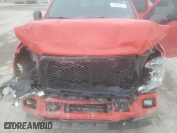 2019 Ford F-150 XL with VIN 1FTEW1EPXKKE14569, listed as a Copart auction lot 44367875 with 145,422 mi miles and Salvage Title. Bid and sale history available at carsss.com. Image 12.