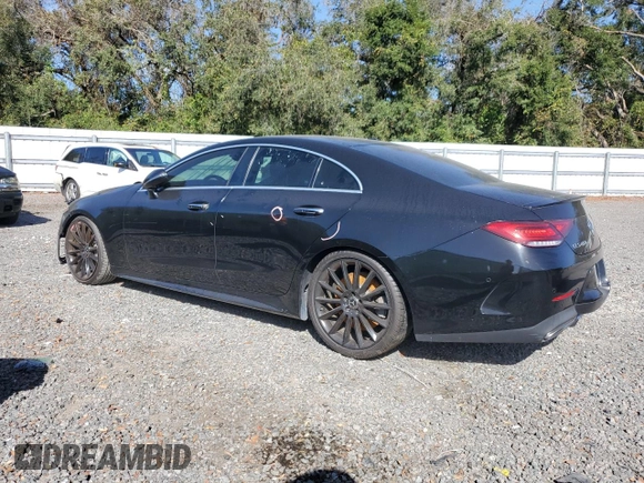 2019 Mercedes-Benz CLS with VIN WDD2J5JB8KA010345, listed as a Copart auction lot 76810664 with 0 mi miles and Non Repairable. Bid and sale history available at carsss.com. Image 2.