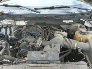 2011 Ford F-150 XL с VIN 1FTMF1CM0BKD31575, выставлен на аукционе IAAI как лот 42253539 с пробегом 170 230 миль миль и . История ставок и продаж доступна на DreamBid. Изображение 19.