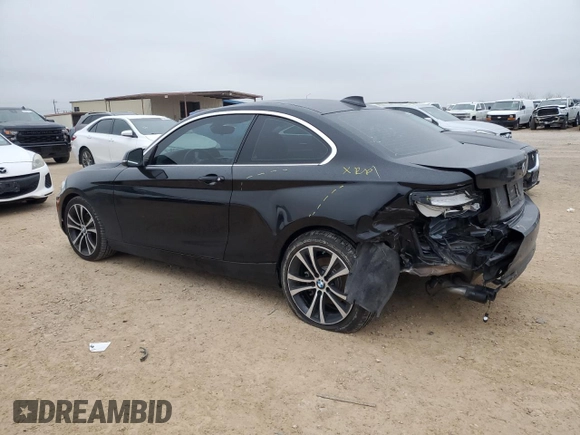 2020 BMW 2 Series 230i with VIN WBA2J1C09L7E60485, listed as a Copart auction lot 44817925 with 53,159 mi miles and Clean Title. Bid and sale history available at carsss.com. Image 2.