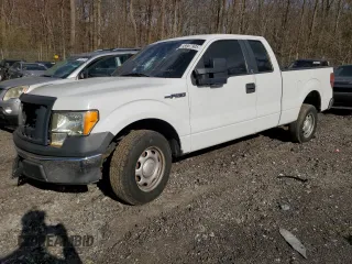 2010 Ford F-150 XL with VIN 1FTFX1CV2AFD12192, listed as a Copart auction lot 49967905 with 205,641 mi miles and Salvage Title. Bid and sale history available at carsss.com. Image 1.