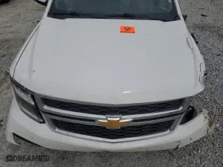 2018 Chevrolet Tahoe LT with VIN 1GNSCBKC8JR203287, listed as a Copart auction lot 42825315 with 0 mi miles and Salvage Title. Bid and sale history available at carsss.com. Image 13.