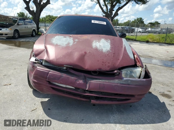 1998 Toyota Corolla VE with VIN 1NXBR12E5WZ041539, listed as a Copart auction lot 61736825 with Not provided miles and Salvage title. Bid and sale history available at DreamBid. Image 5.