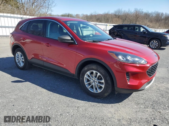 2022 Ford Escape SE with VIN 1FMCU9G68NUA03725, listed as a Copart auction lot 50210135 with 22,821 mi miles and Salvage Title. Bid and sale history available at DreamBid. Image 4.