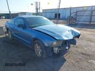 2008 Ford Mustang Deluxe with VIN 1ZVHT80N685107327, listed as a IAAI auction lot 42232642 with 210,033 mi miles and . Bid and sale history available at DreamBid. Image 1.