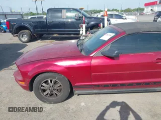 2006 Ford Mustang Standard with VIN 1ZVFT84N365190097, listed as a IAAI auction lot 42015242 with Not Provided miles and . Bid and sale history available at carsss.com. Image 12.