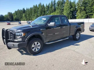 2010 Ford F-150 XL with VIN 1FTEX1EWXAKE43475, listed as a Copart auction lot 64510545 with 194,729 mi miles and Clean title. Bid and sale history available at DreamBid. Image 1.