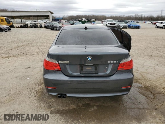 2010 BMW 5 Series 528i with VIN WBANU5C51AC127674, listed as a Copart auction lot 48110725 with 147,262 mi miles and Salvage Title. Bid and sale history available at carsss.com. Image 6.