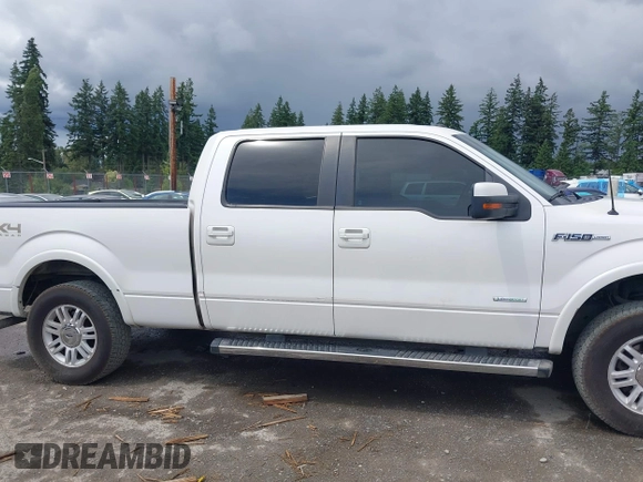 2011 Ford F-150 XLT with VIN 1FTFW1ET3BFD32855, listed as a IAAI auction lot 42540767 with 409,877 mi miles and . Bid and sale history available at DreamBid. Image 13.