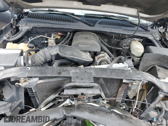 2004 Chevrolet Silverado 1500 LS with VIN 2GCEC19T441217495, listed as a Copart auction lot 52202075 with Not Provided miles and Salvage Title. Bid and sale history available at DreamBid. Image 12.