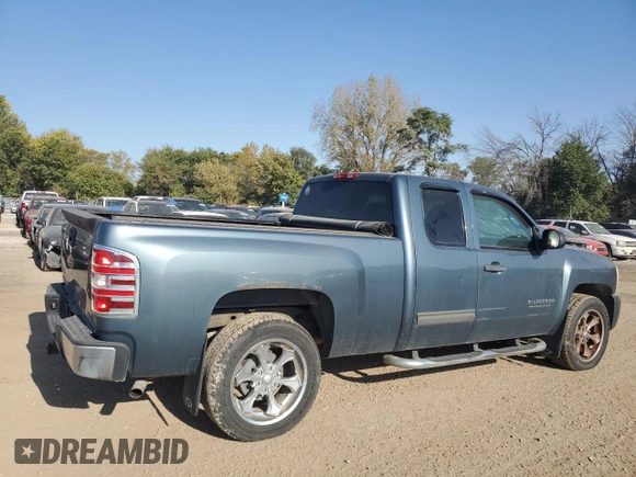 2010 Chevrolet Silverado 1500 LS with VIN 1GCSCREA0AZ258926, listed as a Copart auction lot 74580154 with 206,925 mi miles and Non Repairable. Bid and sale history available at DreamBid. Image 3.
