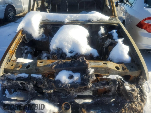 2002 Ford Ranger XL z VIN 1FTZR15E52TA65175, wystawiony jako Copart lot #87667585 z przebiegiem Nie podano mil oraz Szkoda całkowita • Salvage title. Historia ofert i sprzedaży dostępna na DreamBid. Obrazek 11.