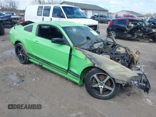 2013 Ford Mustang V6 with VIN 1ZVBP8AM1D5243147, listed as a IAAI auction lot 41975801 with Not provided miles and . Bid and sale history available at DreamBid. Image 1.