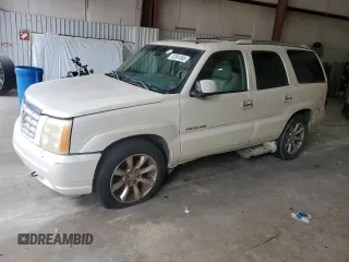 2002 Cadillac Escalade z VIN 1GYEC63T22R234266, wystawiony jako Copart lot #53041985 z przebiegiem 186 571 mil mil oraz Szkody całkowita. Historia ofert i sprzedaży dostępna na DreamBid. Obrazek 1.