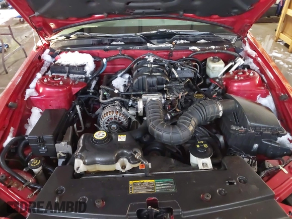 2006 Ford Mustang Standard with VIN 1ZVHT80N865227465, listed as a IAAI auction lot 41272926 with 134,695 mi miles. Bid and sale history available at carsss.com. Image 10.