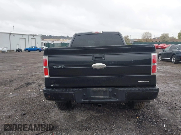 2013 Ford F-150 XL with VIN 1FTFX1EF3DFD51982, listed as a IAAI auction lot 42016831 with 160,937 mi miles. Bid and sale history available at carsss.com. Image 15.