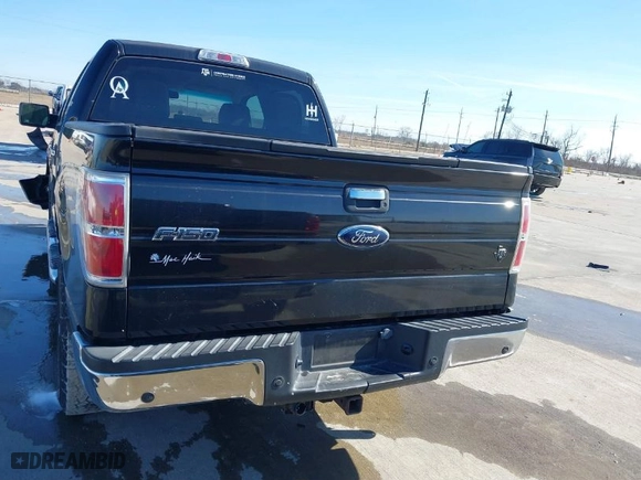 2010 Ford F-150 XL with VIN 1FTEW1E87AFC49449, listed as a IAAI auction lot 41312515 with 226,355 mi miles. Bid and sale history available at carsss.com. Image 16.
