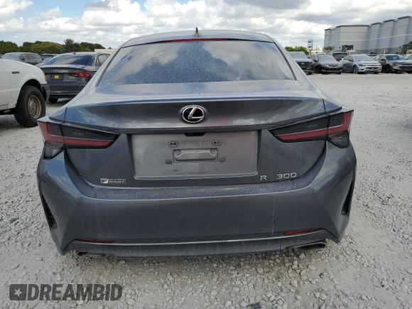 2019 Lexus RC 300 with VIN JTHHA5BC0K5010021, listed as a Copart auction lot 82000804 with Not provided miles and Non repairable. Bid and sale history available at DreamBid. Image 6.