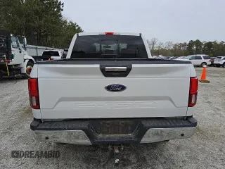 2019 Ford F-150 XL with VIN 1FTEW1E57KFB00501, listed as a Copart auction lot 49469185 with 251,210 mi miles and Clean Title. Bid and sale history available at carsss.com. Image 6.