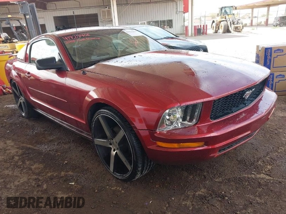 2005 Ford Mustang Deluxe with VIN 1ZVFT80N155245005, listed as a IAAI auction lot 41929406 with 203,176 mi miles. Bid and sale history available at carsss.com. Image 1.