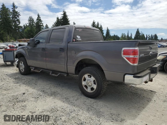2012 Ford F-150 XL with VIN 1FTFW1EF5CKD80067, listed as a Copart auction lot 61274875 with 132,670 mi miles and Salvage title. Bid and sale history available at DreamBid. Image 2.