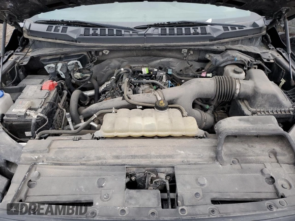 2019 Ford F-150 XL with VIN 1FTEW1EP3KFD47130, listed as a Copart auction lot 83993394 with 191,506 mi miles and Salvage Title. Bid and sale history available at carsss.com. Image 11.