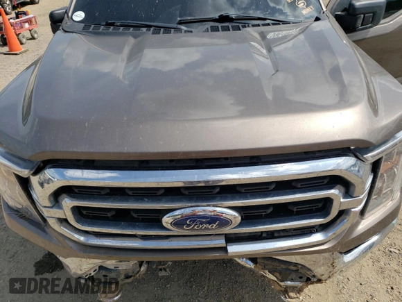 2021 Ford F-150 XL with VIN 1FTFW1E81MFC40903, listed as a Copart auction lot 59618935 with 97,419 mi miles and Salvage title. Bid and sale history available at DreamBid. Image 11.
