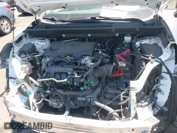 2019 Toyota RAV4 XLE with VIN JTMP1RFV8KD025971, listed as a IAAI auction lot 42673361 with 69,241 mi miles and . Bid and sale history available at DreamBid. Image 10.
