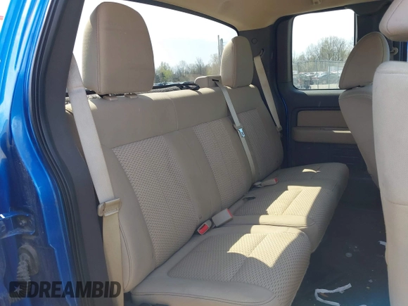 2010 Ford F-150 XL with VIN 1FTFX1EV5AFD48164, listed as a IAAI auction lot 41973597 with 113,671 mi miles and . Bid and sale history available at DreamBid. Image 8.