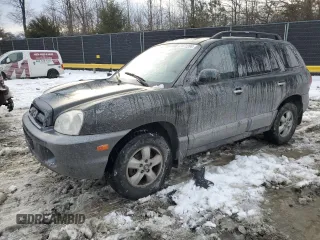 2006 Hyundai Santa Fe GLS with VIN KM8SC73EX6U099617, listed as a Copart auction lot 87471204 with 160,824 mi miles and Salvage Title. Bid and sale history available at carsss.com. Image 1.