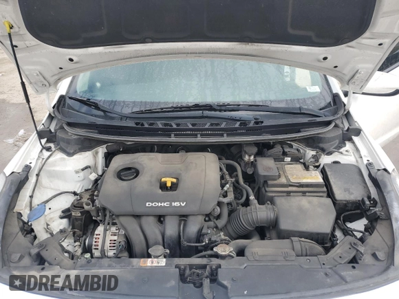 2018 Kia Forte LX with VIN 3KPFL4A76JE260688, listed as a Copart auction lot 44313295 with 123,884 mi miles and Salvage Title. Bid and sale history available at carsss.com. Image 11.