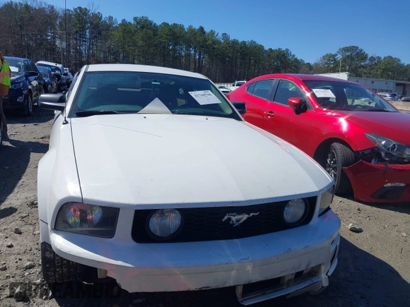 2006 Ford Mustang GT Deluxe with VIN 1ZVFT82H065159239, listed as a IAAI auction lot 41768546 with 158,925 mi miles and . Bid and sale history available at DreamBid. Image 12.