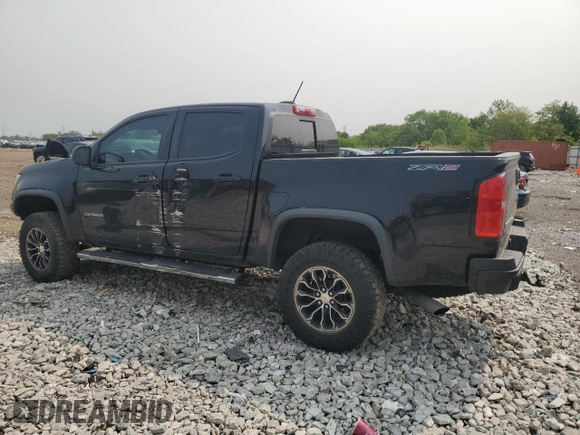 2019 Chevrolet Colorado 4WD ZR2 with VIN 1GCGTEEN2K1346880, listed as a Copart auction lot 58902925 with 44,659 mi miles and Salvage title. Bid and sale history available at DreamBid. Image 2.