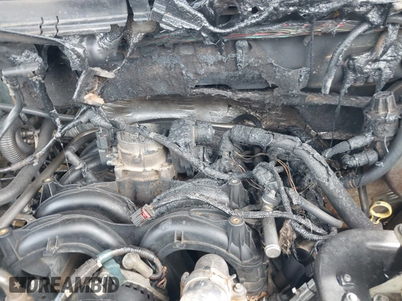 2008 Ford F-150 XLT с VIN 1FTPX14538KD34884, выставлен на аукционе IAAI как лот 42095709 с пробегом Не указан миль и . История ставок и продаж доступна на DreamBid. Изображение 6.