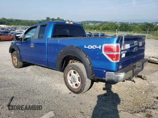 2010 Ford F-150 XL with VIN 1FTEX1E86AKB83433, listed as a Copart auction lot 64221855 with 294,443 mi miles and Salvage title. Bid and sale history available at DreamBid. Image 2.