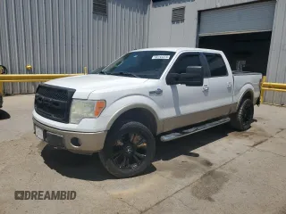 2009 Ford F-150 XL with VIN 1FTPW14VX9KA17124, listed as a Copart auction lot 55144375 with 257,748 mi miles and Salvage title. Bid and sale history available at DreamBid. Image 1.
