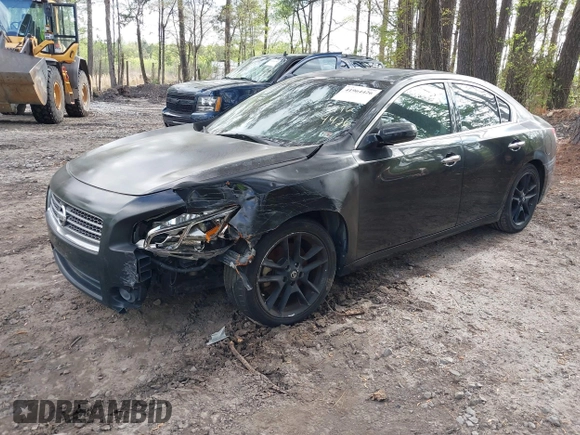 2009 Nissan Maxima SV with VIN 1N4AA51E39C841742, listed as a IAAI auction lot 41964426 with 165,199 mi miles and . Bid and sale history available at DreamBid. Image 17.