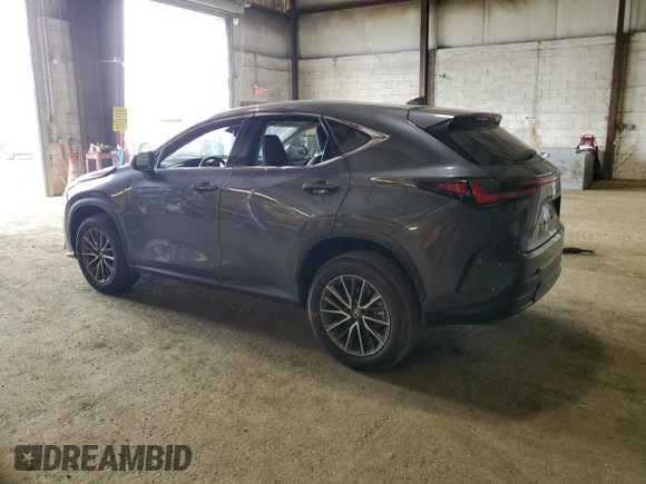 2023 Lexus NX 350 Premium with VIN 2T2GGCEZ7PC019174, listed as a Copart auction lot 46890675 with 11,212 mi miles and Salvage Title. Bid and sale history available at DreamBid. Image 2.