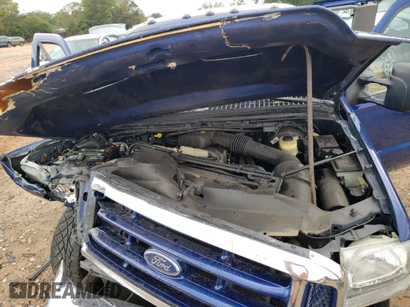 1999 Ford F-250 XL with VIN 1FTNX20L8XEB15501, listed as a Copart auction lot 70181124 with 125,476 mi miles and Salvage title. Bid and sale history available at DreamBid. Image 12.