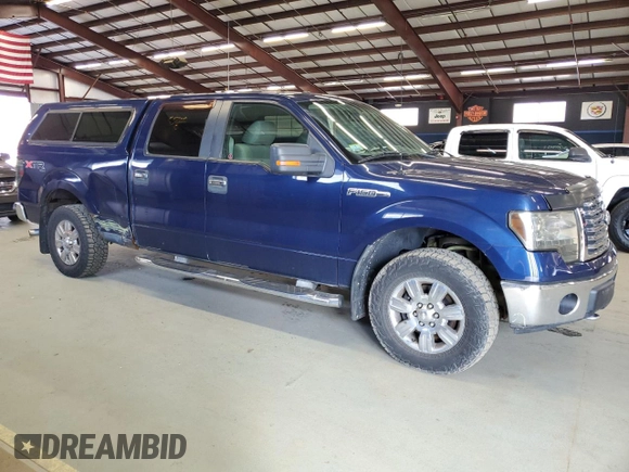 2010 Ford F-150 XL with VIN 1FTFW1EV9AFA88645, listed as a Copart auction lot 52750215 with 149,412 mi miles and Clean title. Bid and sale history available at DreamBid. Image 4.