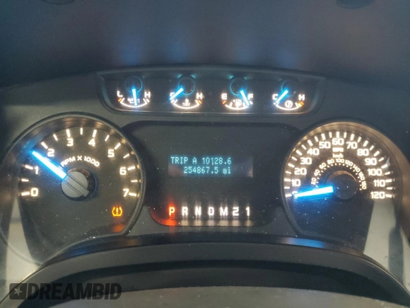 2013 Ford F-150 XL with VIN 1FTMF1EF5DKF67754, listed as a Copart auction lot 42208864 with 254,867 mi miles and Clean Title. Bid and sale history available at carsss.com. Image 9.